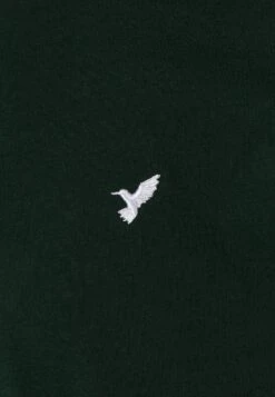 Pier One 5 Pack - Basic T-Shirt - White/Ark Green/Blue -Fashion Clothing Specialty Store 19822f95d4c243b5a7cfa8d503e23581