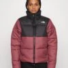 The North Face Saikuru Jacket - Winter Jacket - Wild Ginger -Fashion Clothing Specialty Store 8b99da85fee54f38b52e0d79267b25b4