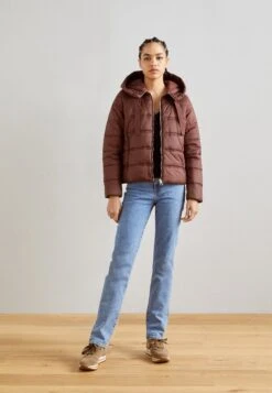 Gabor Comfort Trainers - Farro -Fashion Clothing Specialty Store d041a4b047a84f87b127b886cf0d706f