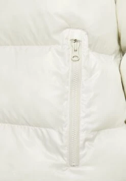 Nike Sportswear W Nsw Tf Synfl City Hd Jkt - Winter Jacket - Light Bone/Black -Fashion Clothing Specialty Store ead6834305b544598856da519f63669a